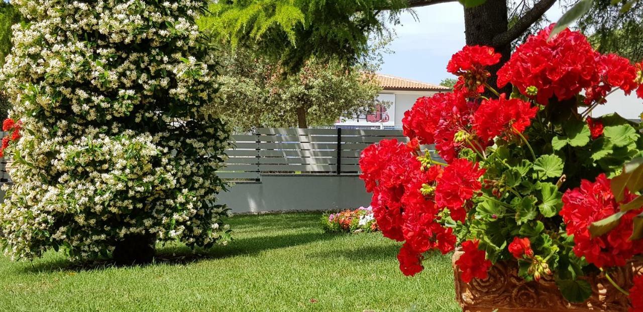 Fiori Apartment Умаг Екстериор снимка